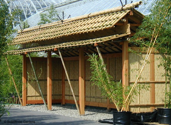 Garden Design London Garden Designers London Bamboo Landscaping