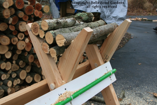 Guide To Get Wood Cutting Sawbuck Bert Jay